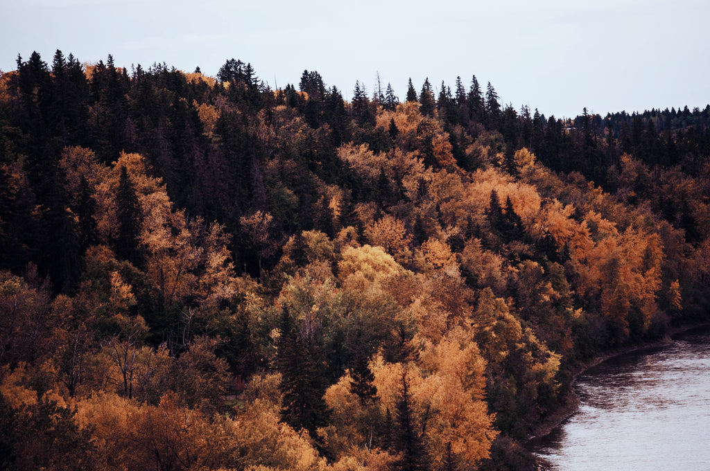 Fall Tips for Sensitive Skin