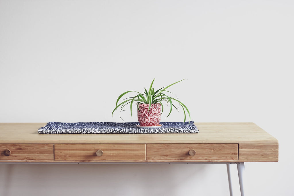Gorgeous Plants for Cleaner Indoor Air